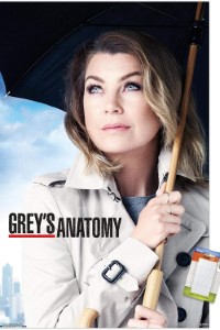 Download Grey’s Anatomy (Season 1-22) [S22E18 Added] {English With Subtitles} 720p Bluray [280MB] || 1080p [1GB]