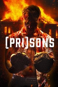 Download (Pri)Sons (2024) Dual Audio {Hindi-English} Esubs BluRay 480p [329MB] || 720p [903MB] || 1080p [2.0GB]