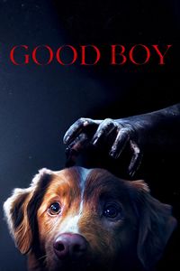 Download Good Boy (2025) {English With Subtitles} WEB-DL 480p [220MB] || 720p [590MB] || 1080p [1.4GB]