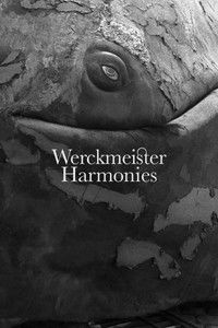 Download Werckmeister Harmonies (2000) {Hungarian With Subtitles} BluRay 480p [430MB] || 720p [1GB] || 1080p [2.58GB]